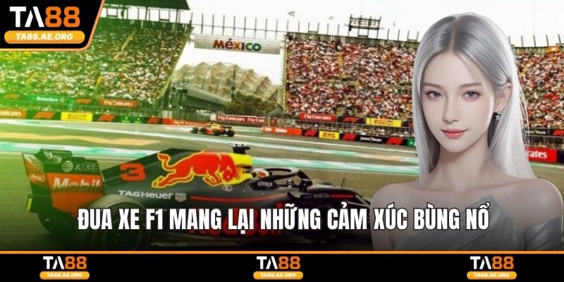 Đua xe F1 mang lại những cảm xúc bùng nổ