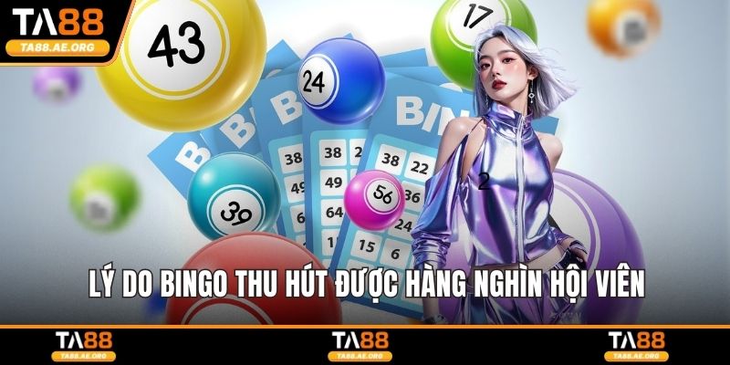Lý do Bingo thu hút được hàng nghìn hội viên
