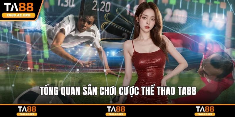 Tổng quan sân chơi cược thể thao TA88